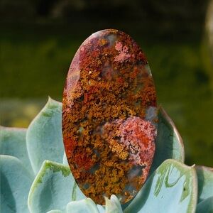 Oval Multicolor Stone Cabochon
